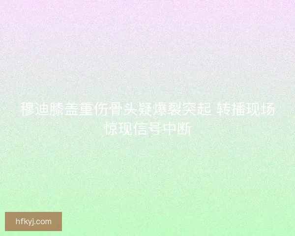 穆迪膝盖重伤骨头疑爆裂突起 转播现场惊现信号中断