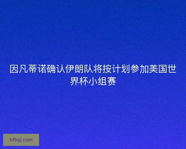 因凡蒂诺确认伊朗队将按计划参加美国世界杯小组赛